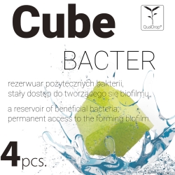 Cube Bacter